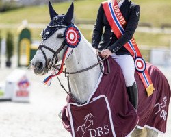 Springpferd Panfu van de Bisschop (Belgisches Reitpony, 2011, von Dexter Leam Pondi)