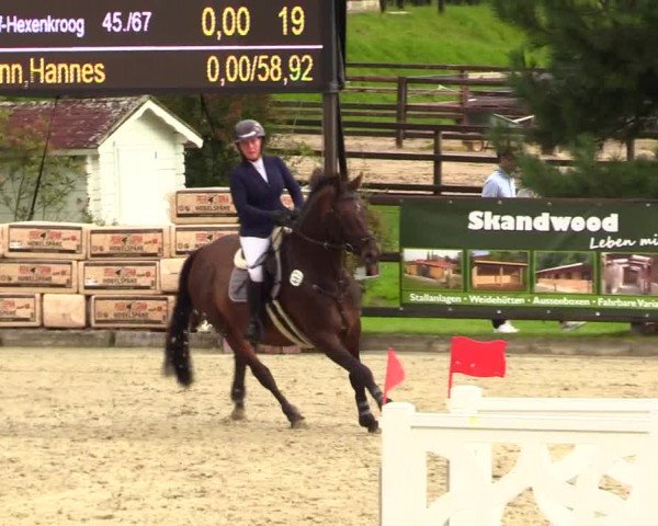 Reitturnier Schnarup-Thumby 2023