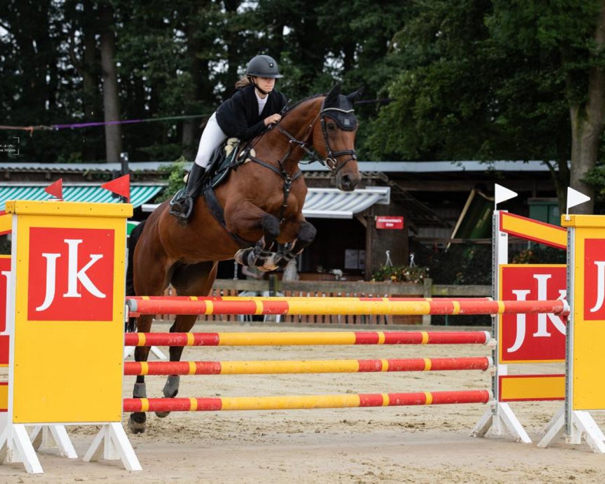 jumper Elaiza 2 (KWPN (Royal Dutch Sporthorse), 2006, from Epilot)