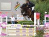 jumper Bellino R (German Sport Horse, 2017, from Baloutender)