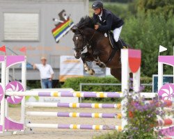 jumper Bellino R (German Sport Horse, 2017, from Baloutender)