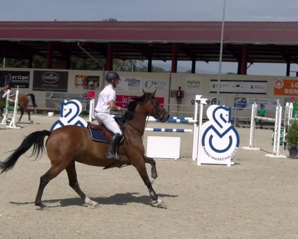 Reitturnier Dompierre 2023