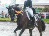 dressage horse Duke of Dawn H (Rhinelander, 2010, from Delamanga)