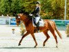 dressage horse Maracuja 9 (Oldenburg, 2015, from Don Nobless)