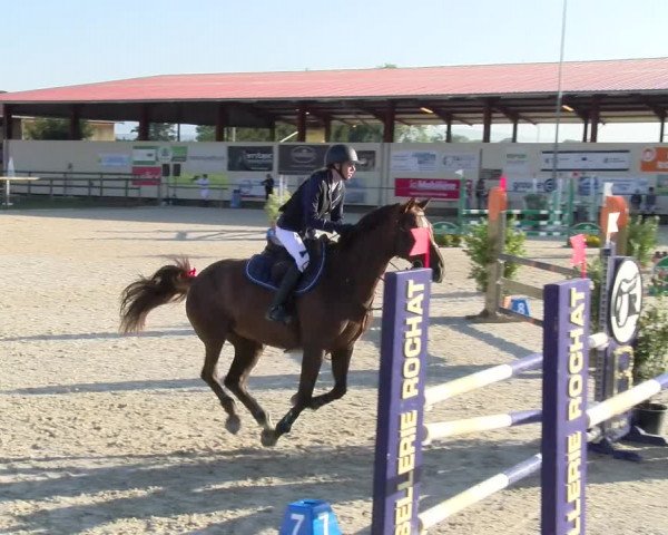 Reitturnier Dompierre 2023