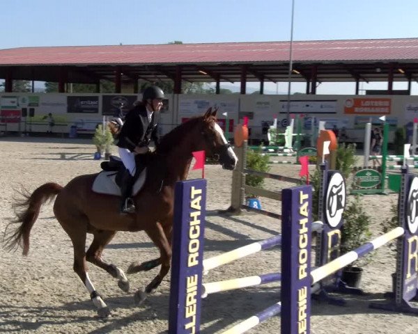 Reitturnier Dompierre 2023