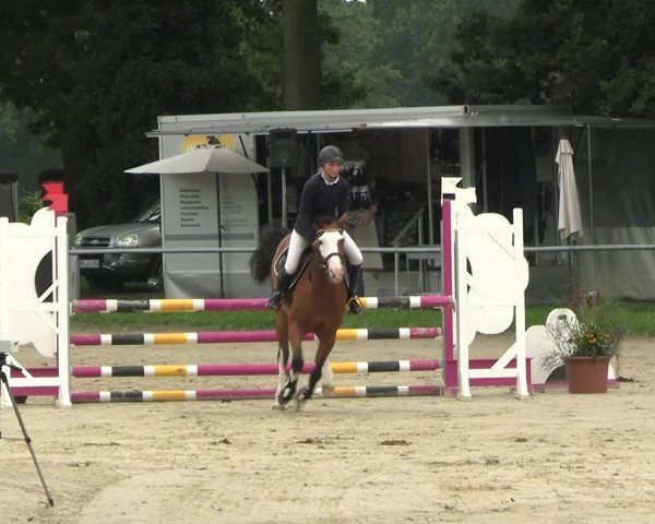 Reitturnier Datteln 2023