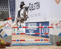 jumper Arie Z (Zangersheide riding horse, 2007, from Asca Z)