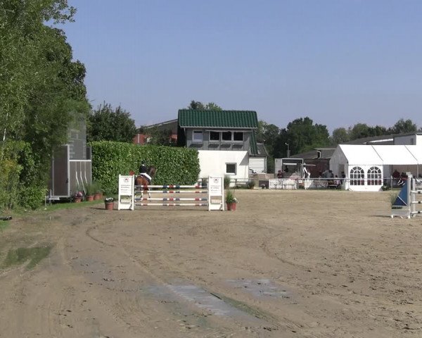 Reitturnier Datteln 2023