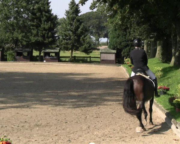 Reitturnier Datteln 2023