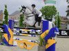 jumper Garden Party (Swedish Warmblood, 2007, from Calido I)