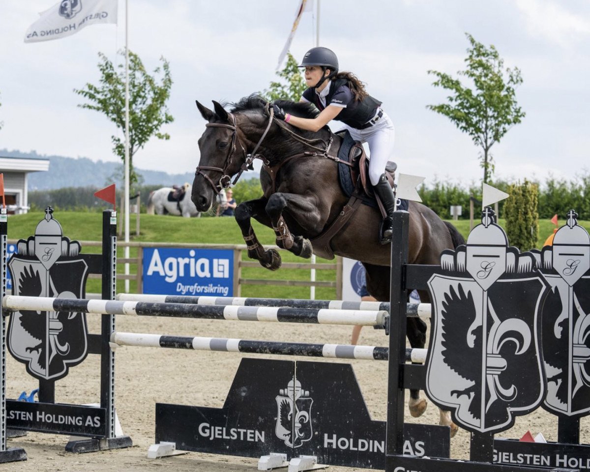 jumper Gredstedgårds Diadem (Danish Warmblood, 2010, from Diarado)