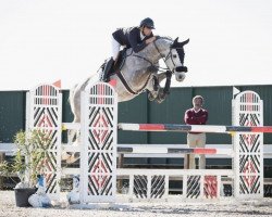 Springpferd Cornetton Rouge PS (Oldenburger, 2016, von Cornet du Lys)