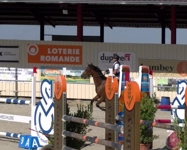 Reitturnier Dompierre 2023