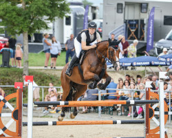 jumper Quemberly (Westfale, 2016, from Quidam's Rubin)