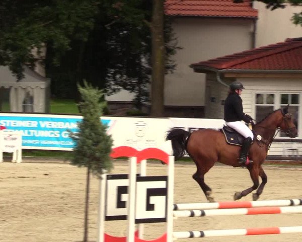 Reitturnier Schnarup-Thumby 2023