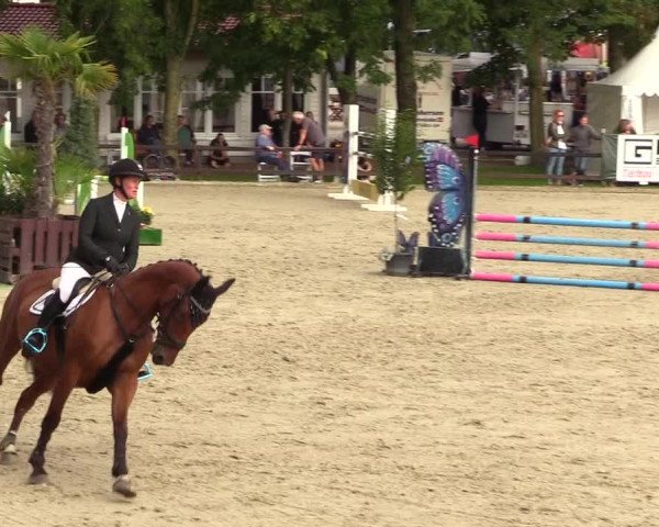 Reitturnier Schnarup-Thumby 2023