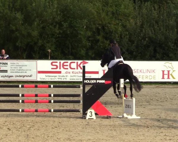 Reitturnier Schnarup-Thumby 2023