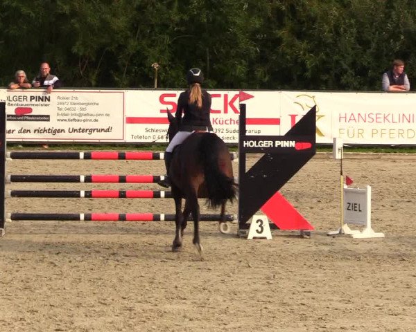 Reitturnier Schnarup-Thumby 2023