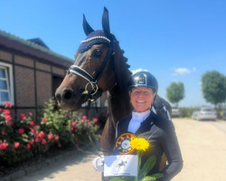 dressage horse Flaneur (Westphalian, 2017, from Fürst Romancier)