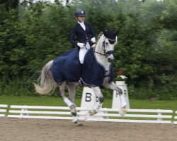 dressage horse Dundee 125 (German Riding Pony, 2006, from FS Don't Worry)