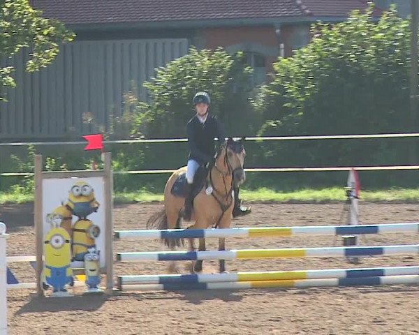 Reitturnier Demantsfürth/Mfr. 2023