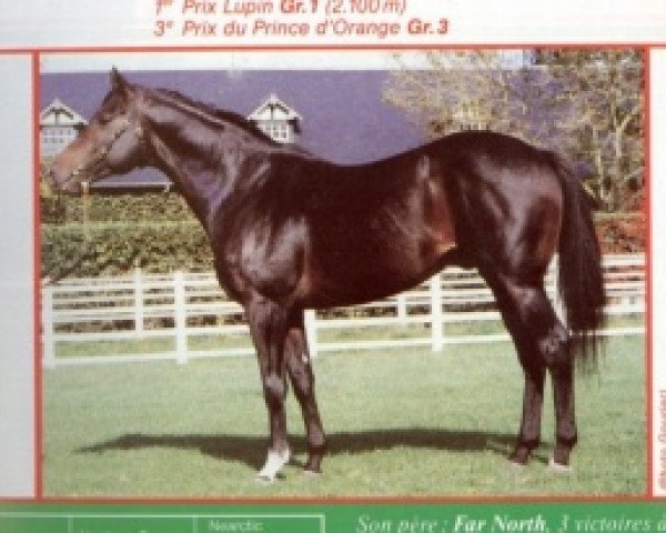 stallion Fast Topaze xx (Thoroughbred, 1983, from Far North xx)