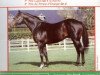 stallion Fast Topaze xx (Thoroughbred, 1983, from Far North xx)