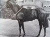 stallion Djakao xx (Thoroughbred, 1966, from Tanerko xx)