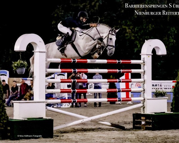 jumper Diquito (Hanoverian, 2014, from Diamant de Semilly)