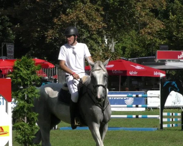 Reitturnier Aschersleben 2023