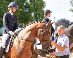 broodmare Damon's Valentina ANW (Austrian Warmblood, 2019, from Vitalis)