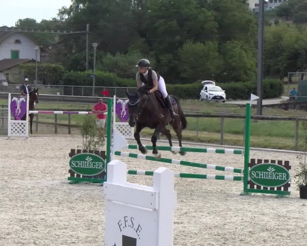 Reitturnier Dompierre 2023