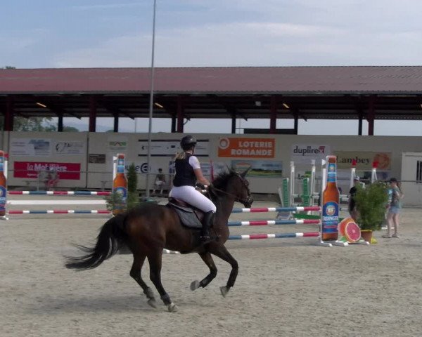 Reitturnier Dompierre 2023