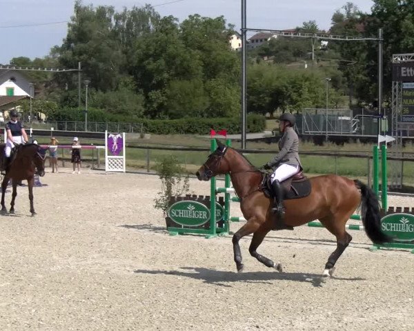 Reitturnier Dompierre 2023