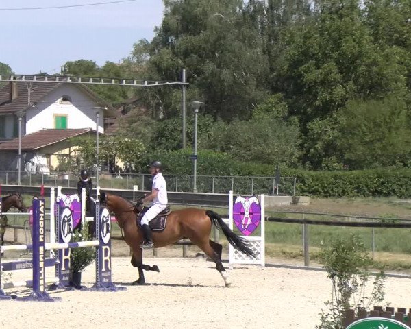 Reitturnier Dompierre 2023