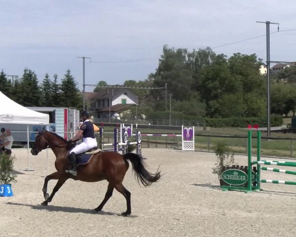 Reitturnier Dompierre 2023
