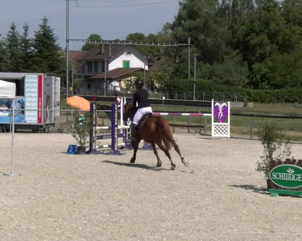 Reitturnier Dompierre 2023