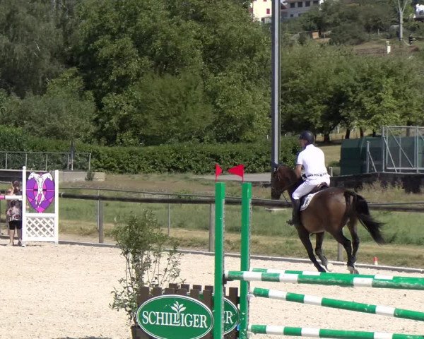 Reitturnier Dompierre 2023