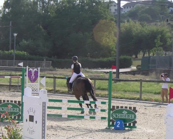 Reitturnier Dompierre 2023