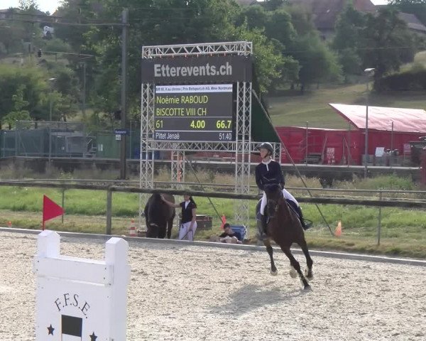 Reitturnier Dompierre 2023