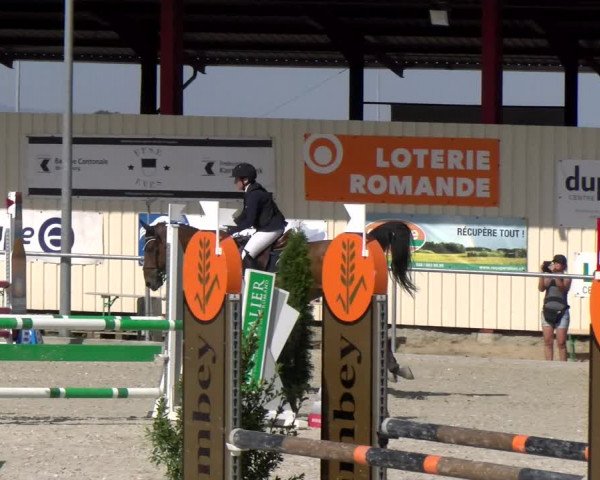 Reitturnier Dompierre 2023