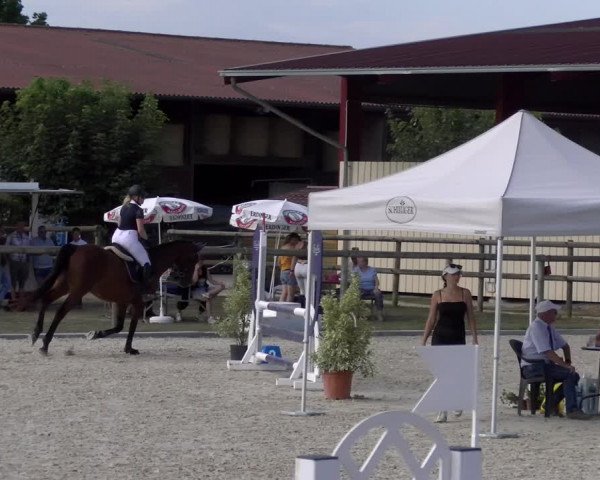 Reitturnier Dompierre 2023