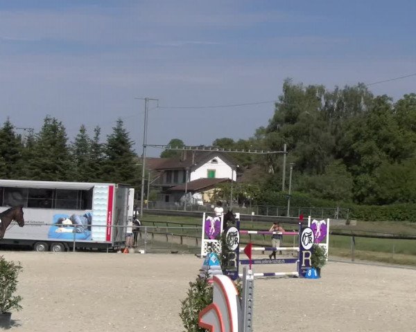 Reitturnier Dompierre 2023