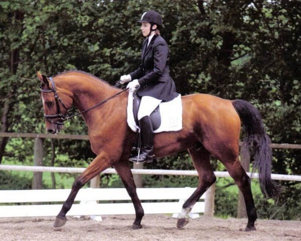 horse Ragazzo's High Spirit (Hanoverian, 2002, from Ragazzo)