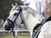 dressage horse Catch Me IP (Holsteiner, 2010, from Colbert GTI)