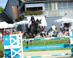 jumper Classe Lady (Zangersheide riding horse, 2016, from Parrandero)