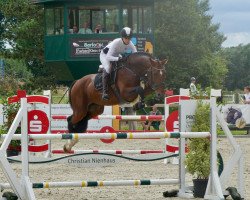 jumper Gentle Heartbreaker (KWPN (Royal Dutch Sporthorse), 2017, from Global Express)