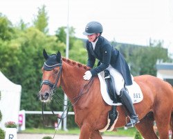 dressage horse Vegas E (Rheinländer, 2014, from Vitalis)