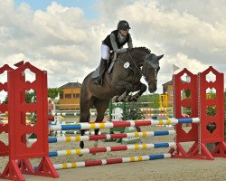 jumper Queen Kartlow (Mecklenburger, 2018, from Quidam de Revel)